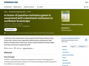 A cluster of putative resistance genes is associated with a dominant resistance to sunflower broomrape