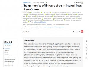 The genomics of linkage drag in inbred lines of sunflower - publication